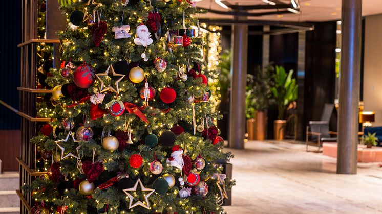 Lonely Christmas Tree.jpg