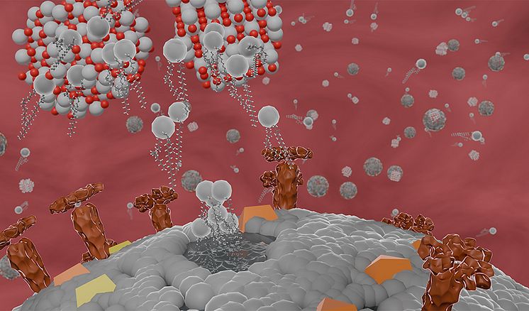 Kessler-antiviral-960.jpg