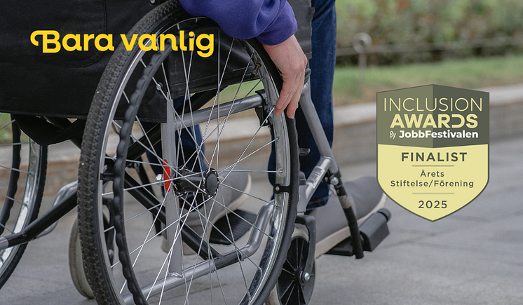 InclusionAwards2025.png