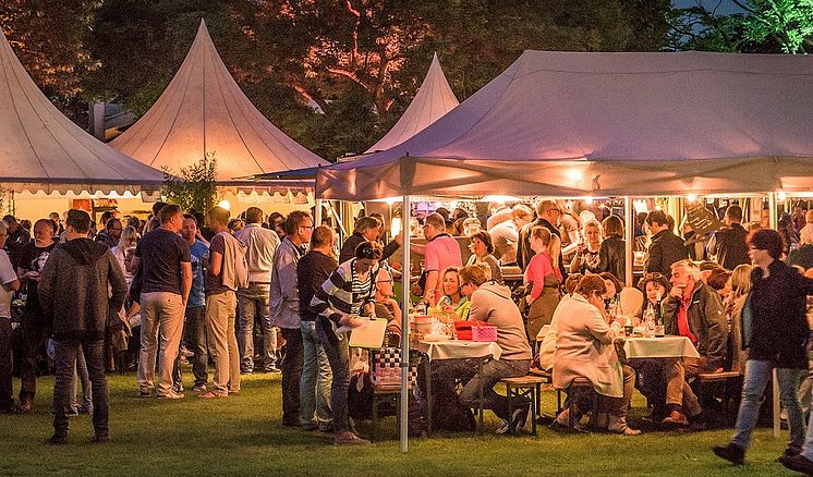 Besucher beim Weinfest Hameln im Bürgergarten.jpg