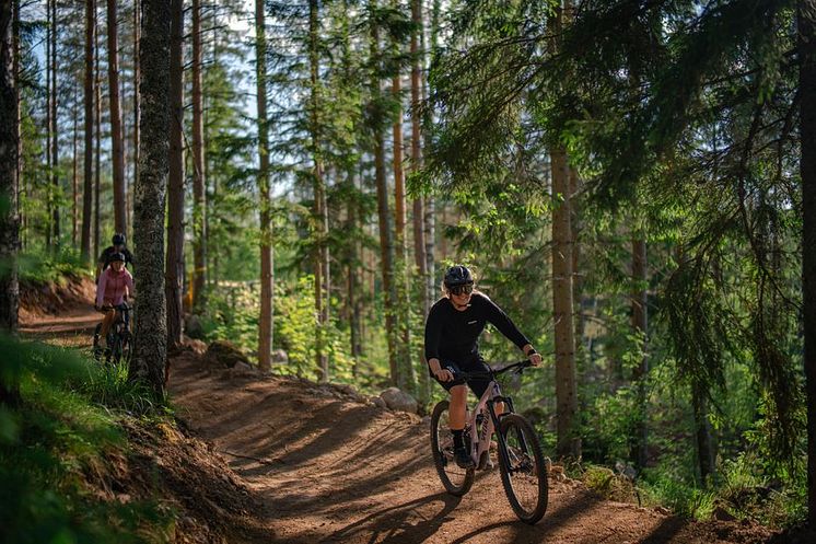 Kungsberget_ny_cykelled.jpg