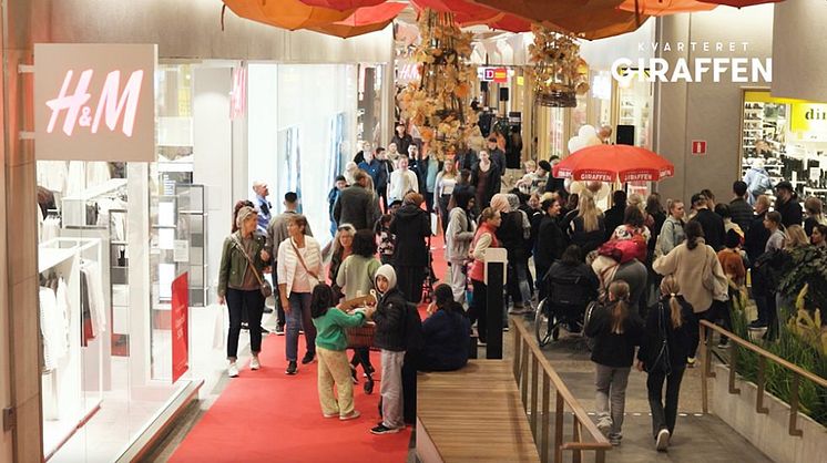 shopping_bild-l-980x549.jpg