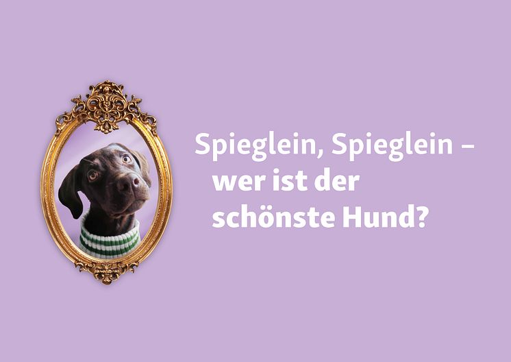 WHT_SchönsterHund_Master.jpg