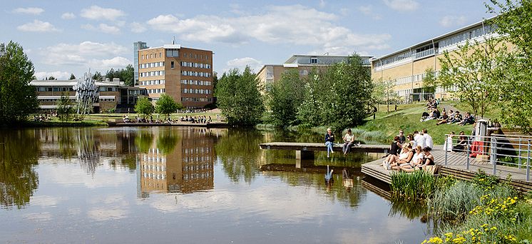 Campus Umeå.jpg