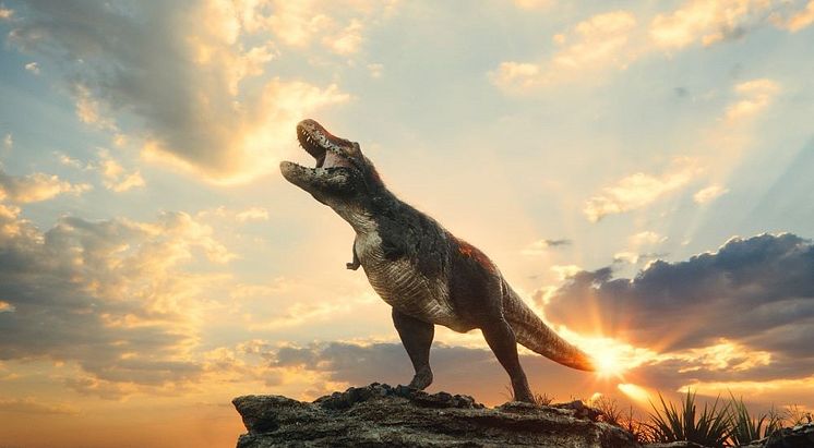 T-rex.jpg