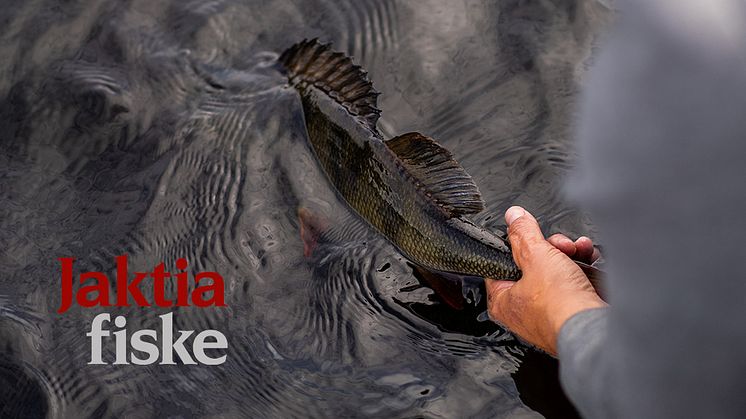 jaktiafiske-banner.jpg