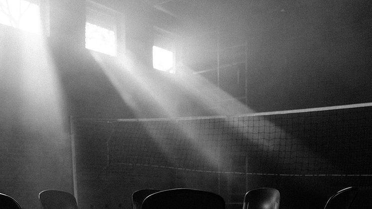 sundust-5710924.jpg