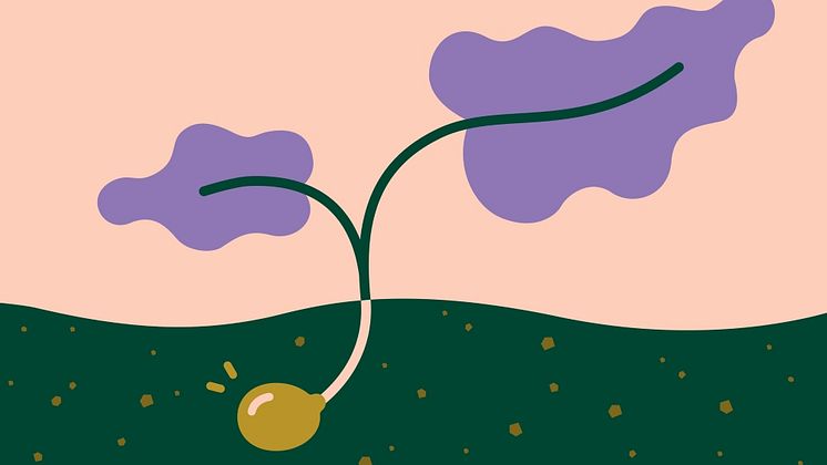 Frö1000x576px.jpg
