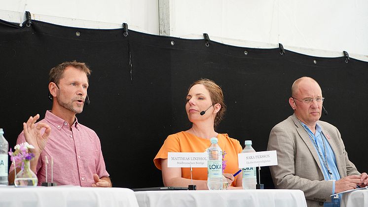 Almedalen_01713.jpg