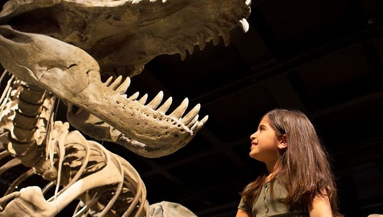 Nrm_vatten_trex_1659_1000pxl.jpg