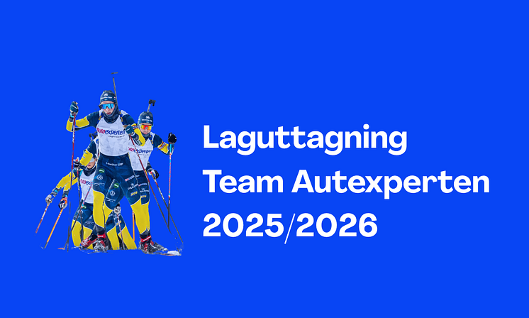 Team Autoexperten  (1).png