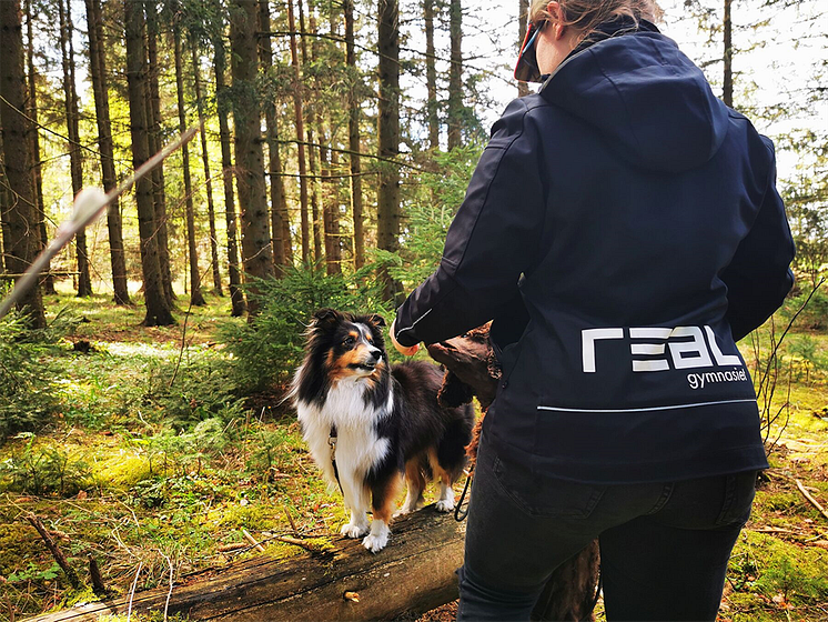 Hund i samverkan med elev och pedagoger
