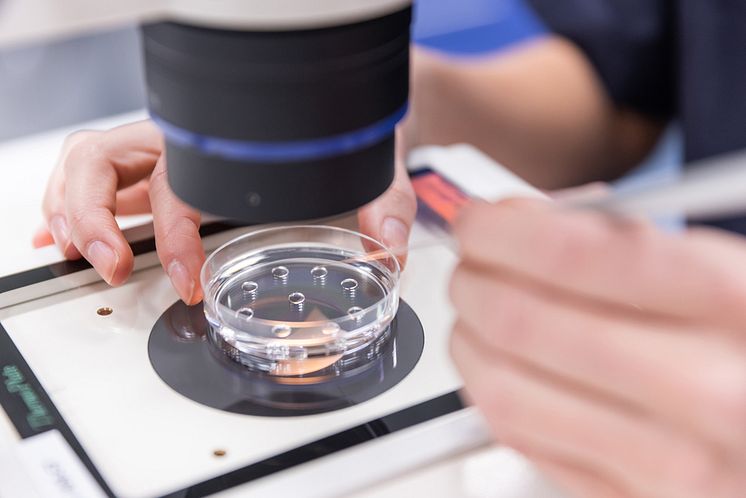 Vitrolife-Image-73---Fertilisation_1000px.jpg