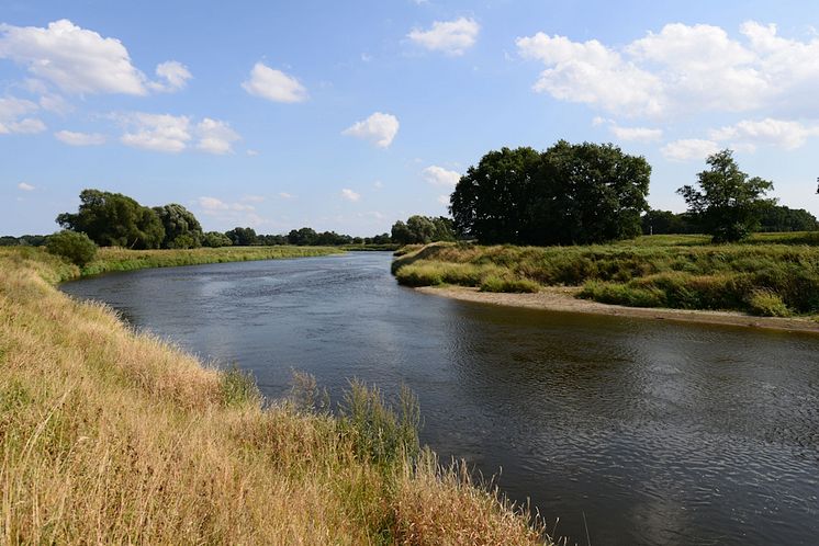 Mulde bei Bad Düben 