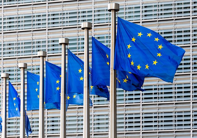 EU-flaggor-Bryssel.jpg