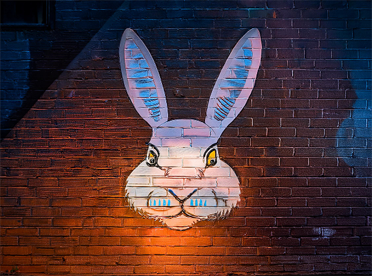 Hungerstenarna_graffittikaninen_webb.png
