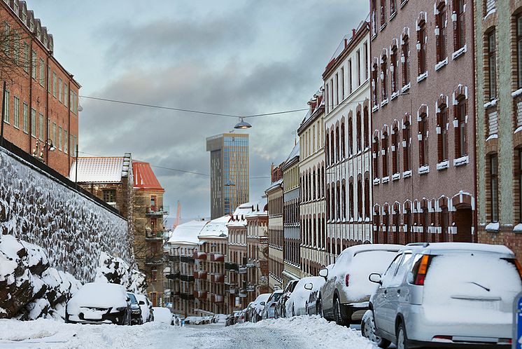 Vinter_LB5988_1000.jpg