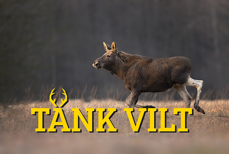 1älg.png