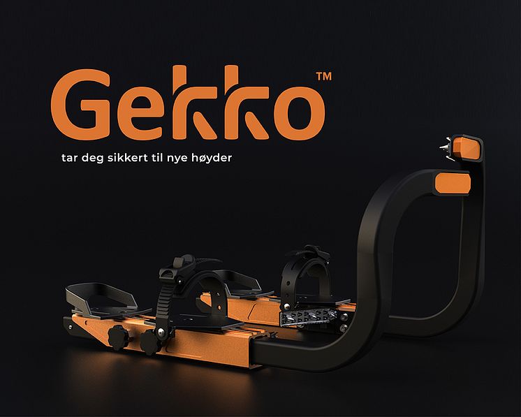 gekko_NB 1.jpg