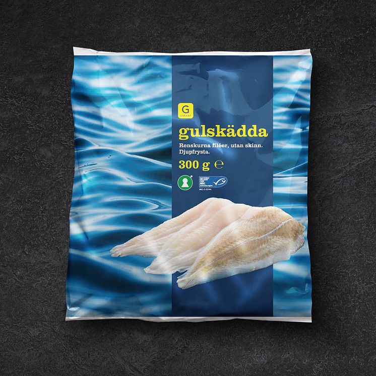 gulskadda MSC.jpg