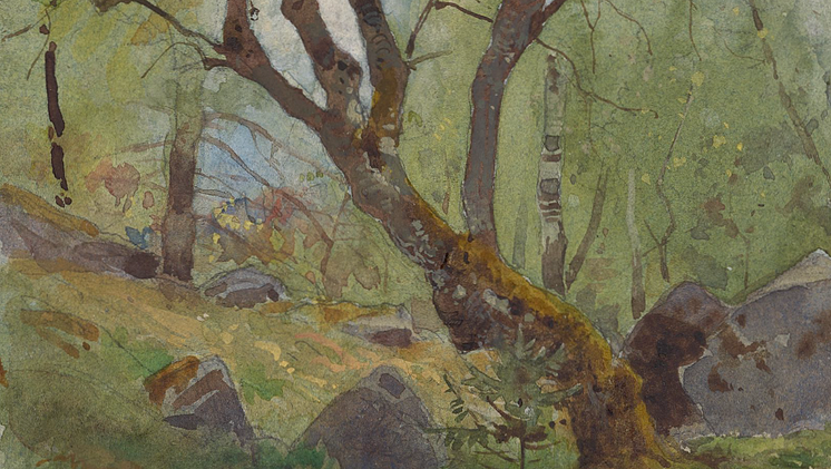 sagolika-skogen.png