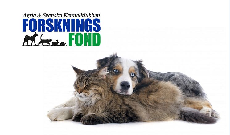 Forskningsfonden ny bild.jpg