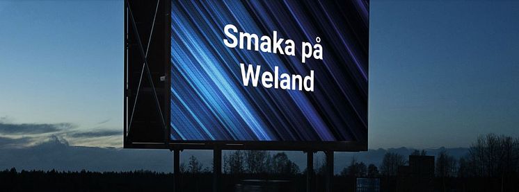 Minimässa Smaka på Weland.JPG