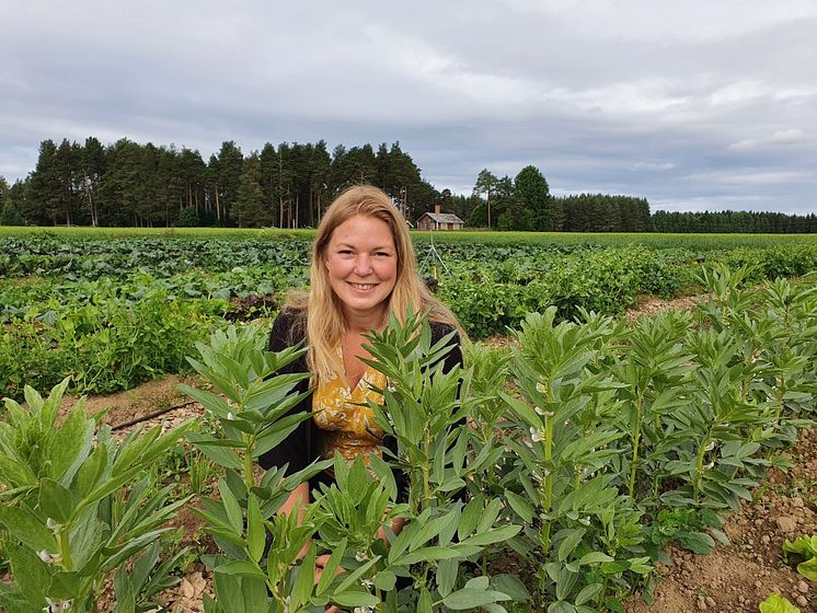 Ulrika Hedberg Foto Ulrika Hedberg.jpg