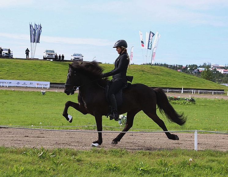Ragnhildur Haraldsdóttir
