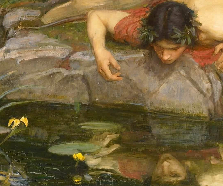 Narcissus.png