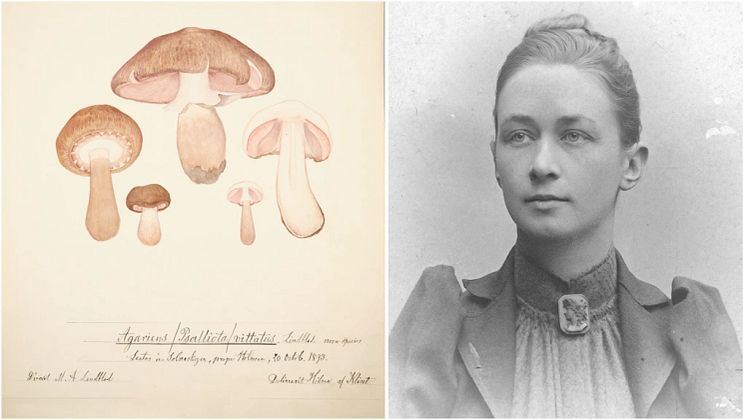 Montage Hilm af Klint.webp