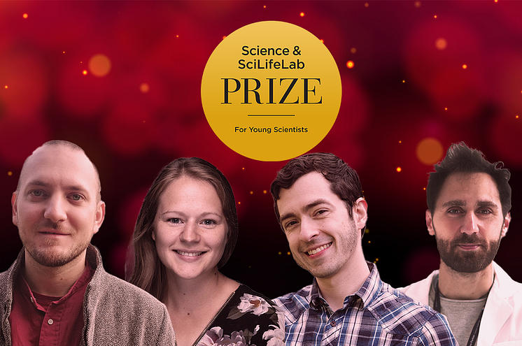 Prize winners 2024 nyhetsbild.png