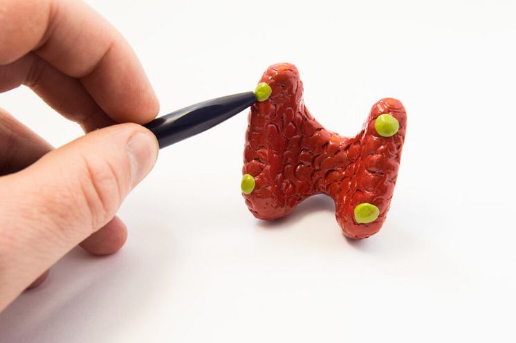 hypopara_detalj-1024x681.jpg