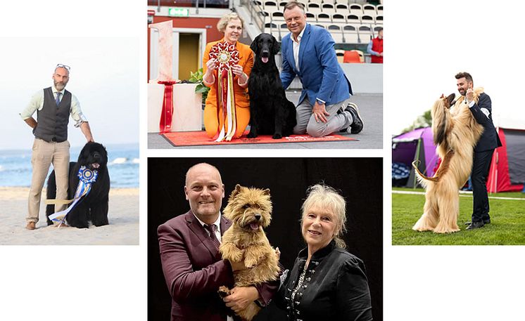 åretsutställningshund2024_new.jpg