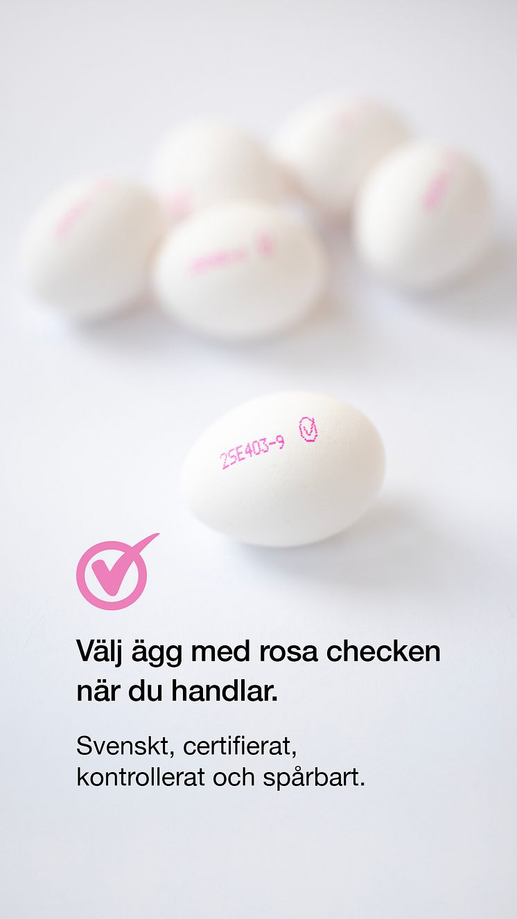 Bilder m text 9.16.4.jpg