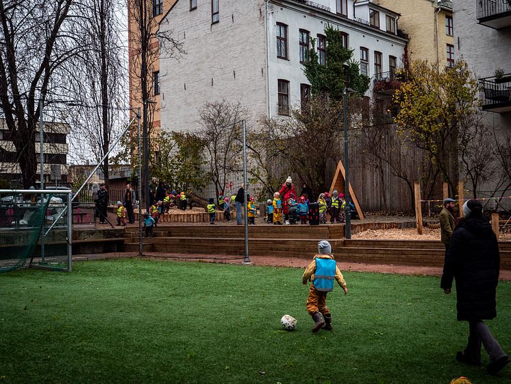 P1155552.jpg