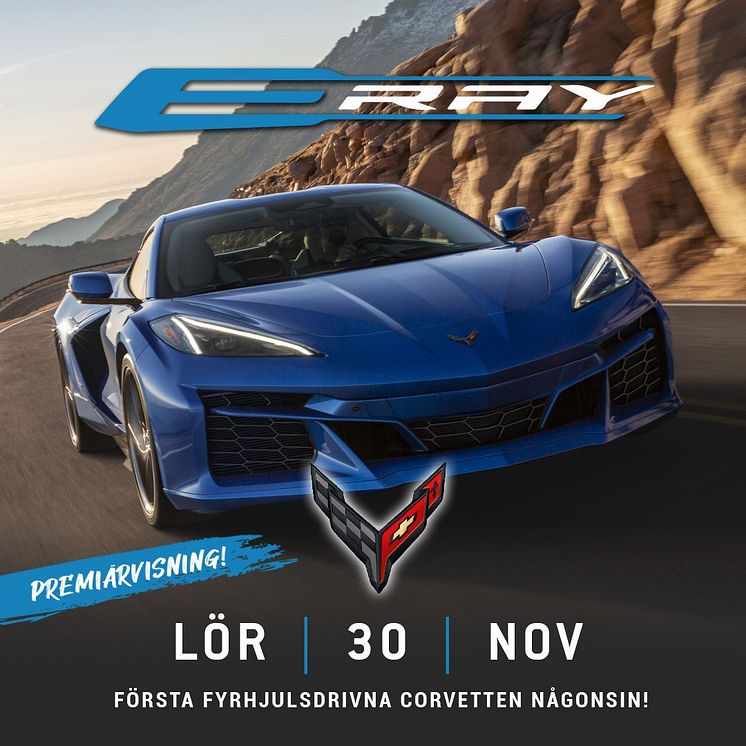 Corvette E-Ray.jpeg