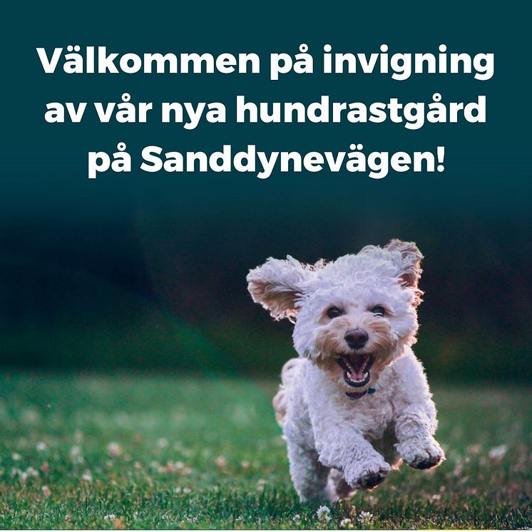 Hundrastgård FB.jpg