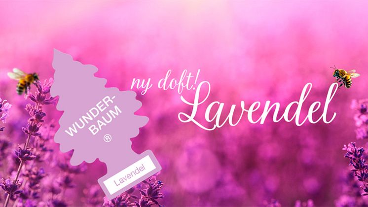 Wunder-Baum Lavendel_web.jpg