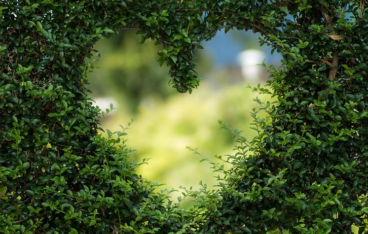 pexels-pixabay-255441-hjärta_MND.jpg