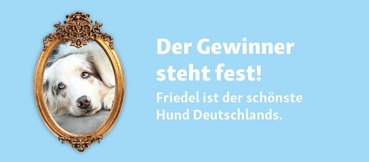 Der schönste Hund Deutschlands 2024 Friedel .jpg