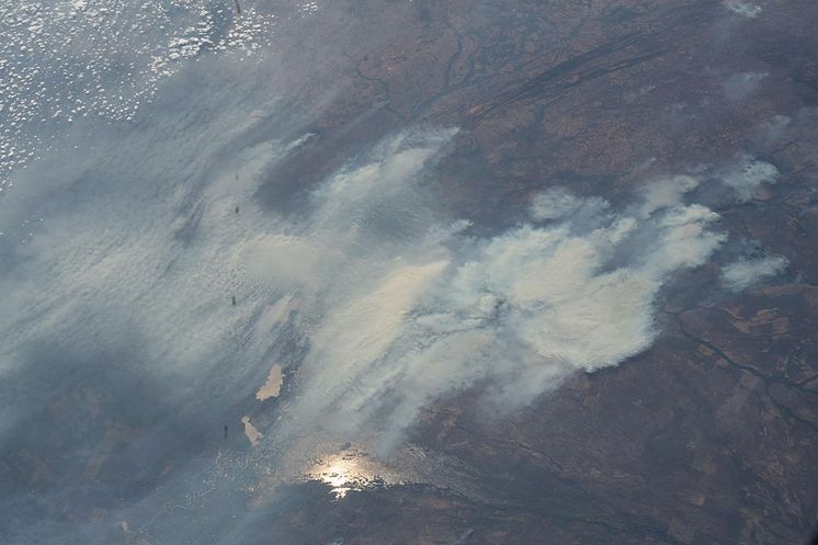 NASAimages_wildfire_brazil_ChrisCassidy_large.jpg