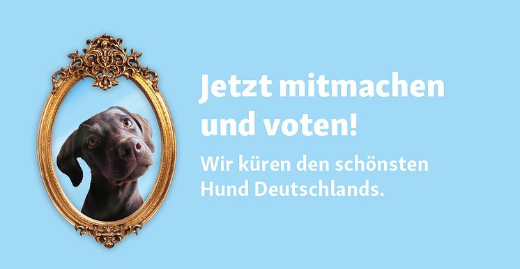 Fressnapf sucht den schönsten Hund Deutschlands_Die Voting Phase ist gestartet.jpg