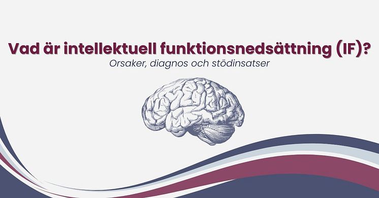 vad-ar-intellektuell-funktionsnedsattning-if.jpg