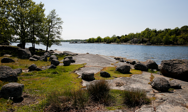 Kustvandring