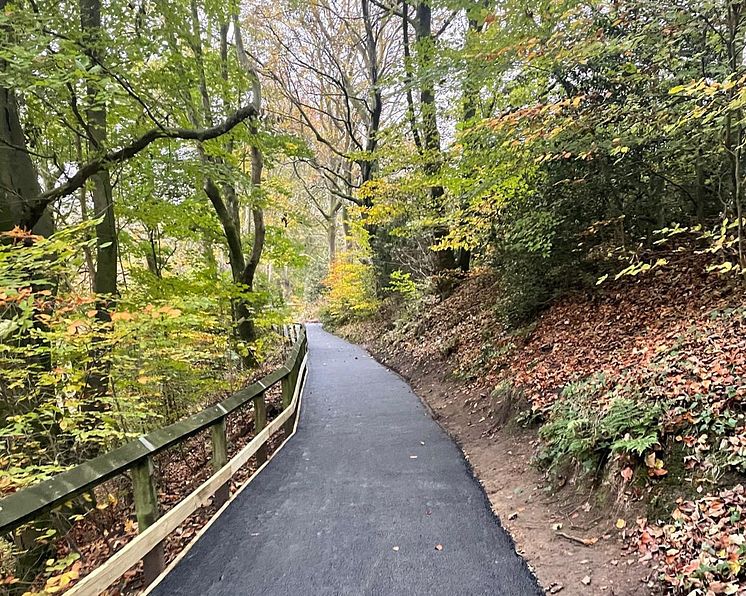 prestwich-clough-access-imps.jpg