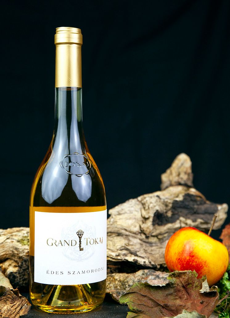 Grand-Tokaj.jpg