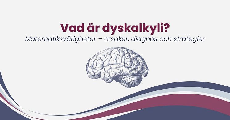 vad-ar-dyskalkyli.jpg