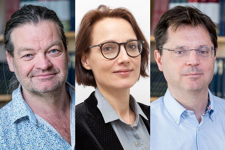 SNS Konjunkturråd 2025.jpg