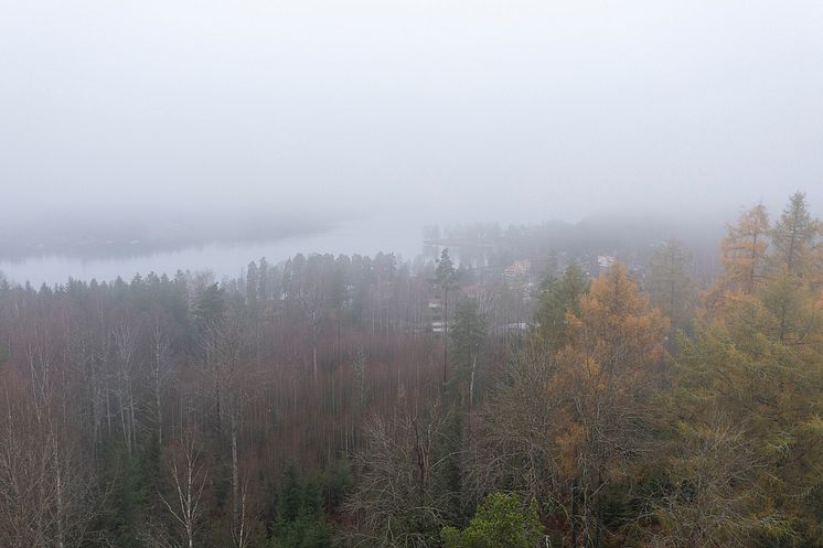 202211LS_0073.jpg